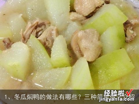 冬瓜焖鸭的做法有哪些？三种简单做法介绍, 独家啤酒焖鸭的正宗做法，独家啤酒焖鸭怎样做才好吃的