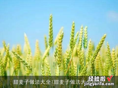 甜麦子做法大全视频 甜麦子做法大全