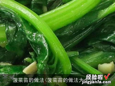 菠菜苗的做法大全窍门 菠菜苗的做法