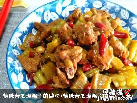 辣味苦瓜烧鸭子的做法大全 辣味苦瓜烧鸭子的做法