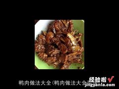 鸭肉做法大全菜谱 鸭肉做法大全