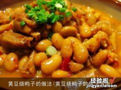 黄豆烧鸭子的做法大全 黄豆烧鸭子的做法