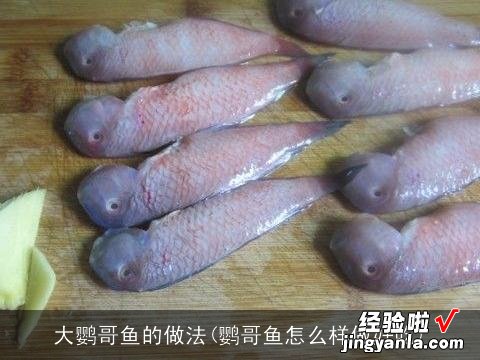 鹦哥鱼怎么样做好吃 大鹦哥鱼的做法