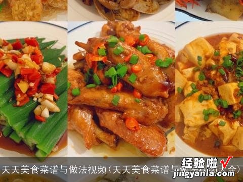 天天美食菜谱与做法视频大全 天天美食菜谱与做法视频