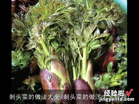 刺头菜的做法大全视频 刺头菜的做法大全