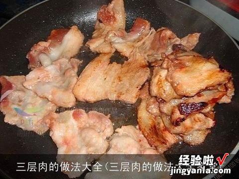 三层肉的做法大全家常 三层肉的做法大全