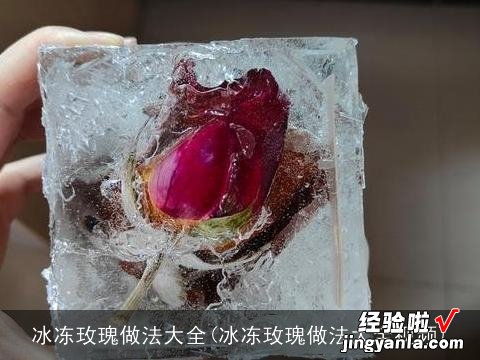 冰冻玫瑰做法大全视频 冰冻玫瑰做法大全