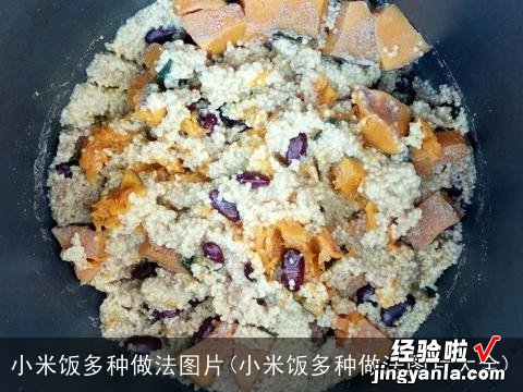 小米饭多种做法图片大全 小米饭多种做法图片