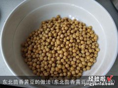 东北茴香黄豆的做法视频 东北茴香黄豆的做法