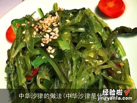 中华沙律是什么菜 中华沙律的做法