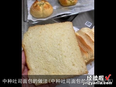中种吐司面包的做法和配方 中种吐司面包的做法