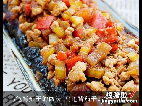 乌龟背茄子的做法大全 乌龟背茄子的做法