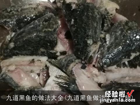 九道黑鱼做法大全视频 九道黑鱼的做法大全