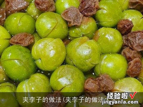 夹李子的做法大全 夹李子的做法