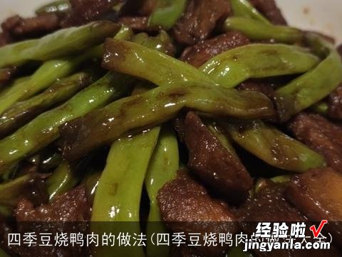 四季豆烧鸭肉的做法大全 四季豆烧鸭肉的做法