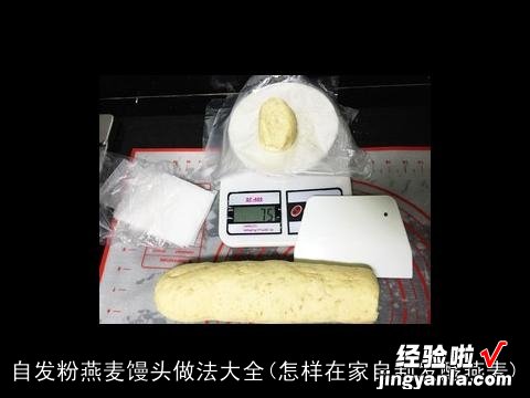 怎样在家自制发酵燕麦 自发粉燕麦馒头做法大全