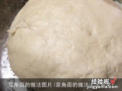 菜角面的做法大全家常 菜角面的做法图片