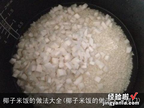 椰子米饭的做法大全窍门 椰子米饭的做法大全