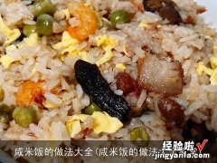 咸米饭的做法大全家常 咸米饭的做法大全