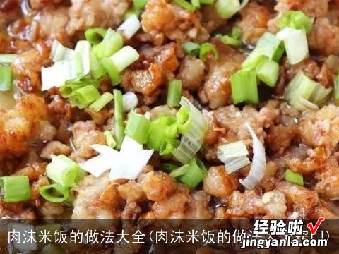 肉沫米饭的做法大全窍门 肉沫米饭的做法大全