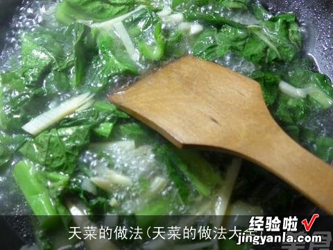 天菜的做法大全 天菜的做法