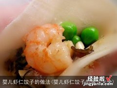 婴儿虾仁饺子的做法大全 婴儿虾仁饺子的做法