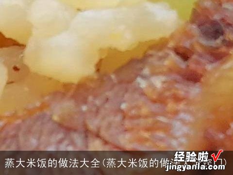 蒸大米饭的做法大全窍门 蒸大米饭的做法大全