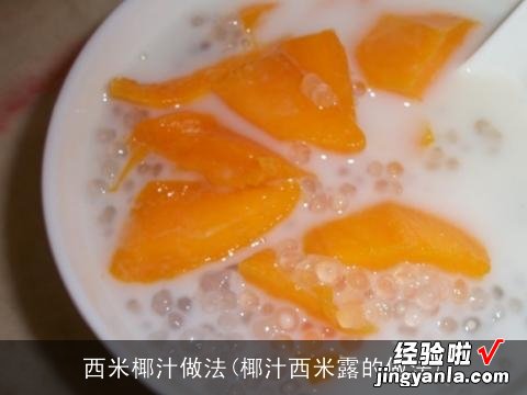 椰汁西米露的做法 西米椰汁做法