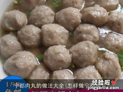 怎样做宁都肉丸 宁都肉丸的做法大全