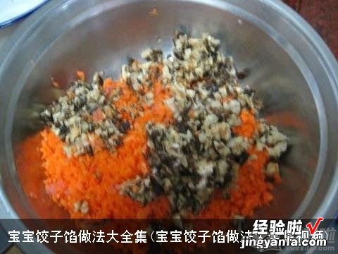 宝宝饺子馅做法大全集视频 宝宝饺子馅做法大全集