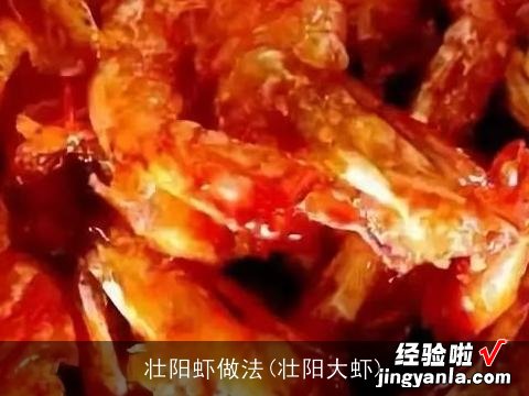 壮阳大虾 壮阳虾做法