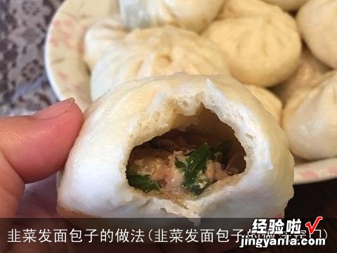 韭菜发面包子的做法窍门 韭菜发面包子的做法