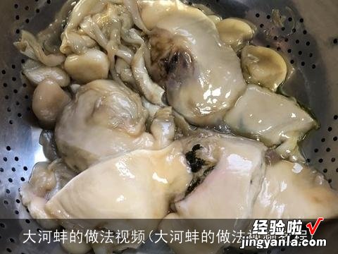 大河蚌的做法视频教程 大河蚌的做法视频