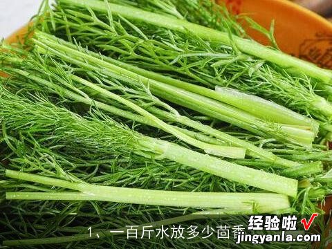 一百斤水放多少茴香, 茴香鸡蛋虾皮饺子怎么做