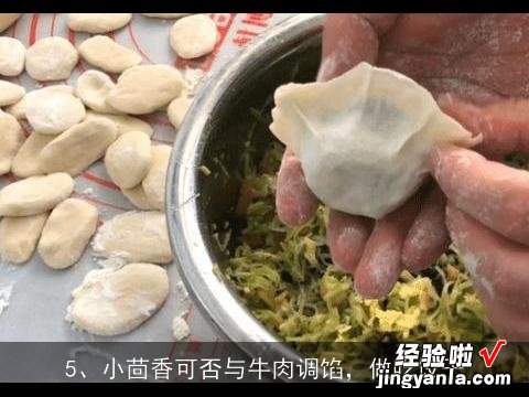 一百斤水放多少茴香, 茴香鸡蛋虾皮饺子怎么做