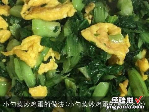 小勺菜炒鸡蛋的做法大全 小勺菜炒鸡蛋的做法