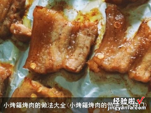 小烤箱烤肉的做法大全窍门 小烤箱烤肉的做法大全