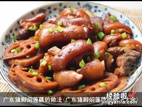 广东猪脚焖莲藕的做法大全 广东猪脚焖莲藕的做法