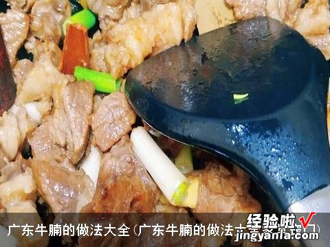 广东牛腩的做法大全家常窍门 广东牛腩的做法大全