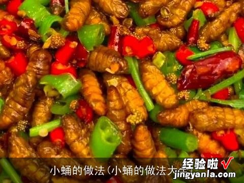 小蛹的做法大全 小蛹的做法