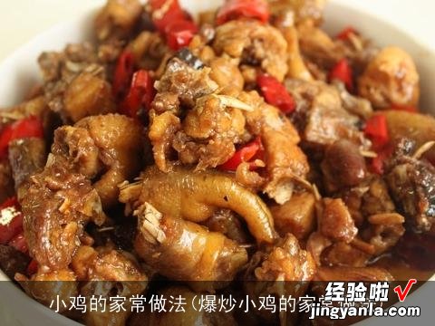 爆炒小鸡的家常做法 小鸡的家常做法