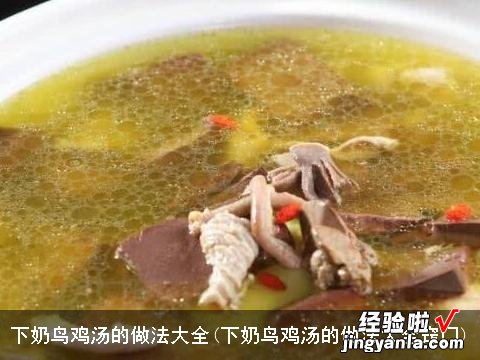 下奶鸟鸡汤的做法大全窍门 下奶鸟鸡汤的做法大全