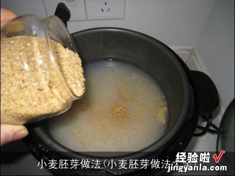 小麦胚芽做法大全 小麦胚芽做法