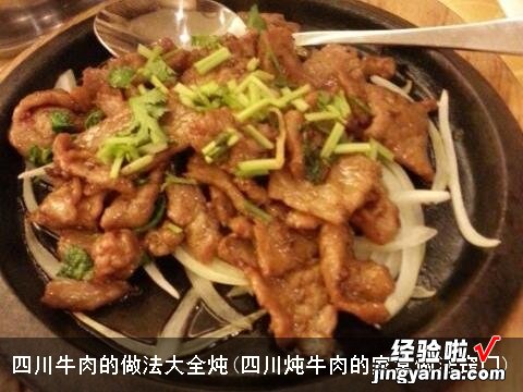 四川炖牛肉的家常做法窍门 四川牛肉的做法大全炖