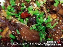 怪味鸭做法大全图解 怪味鸭做法大全