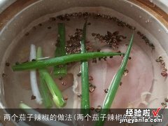 两个茄子辣椒的做法大全 两个茄子辣椒的做法