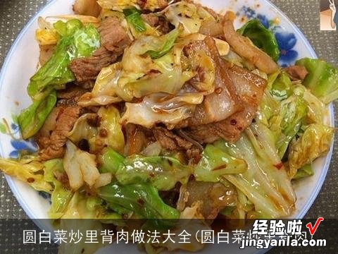 圆白菜炒里脊肉 圆白菜炒里背肉做法大全