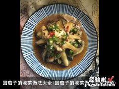 圆茄子的凉菜做法大全视频 圆茄子的凉菜做法大全