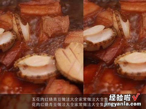 五花肉红烧青豆做法大全家常做法大全集图片 五花肉红烧青豆做法大全家常做法大全集