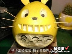 柚子龙猫做法大全 柚子龙猫做法